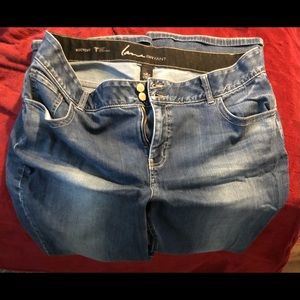 Lane Bryant jeans